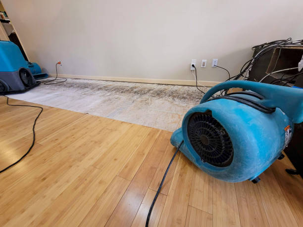 Professional Water Damage Repair technician working in Red Oak, NC